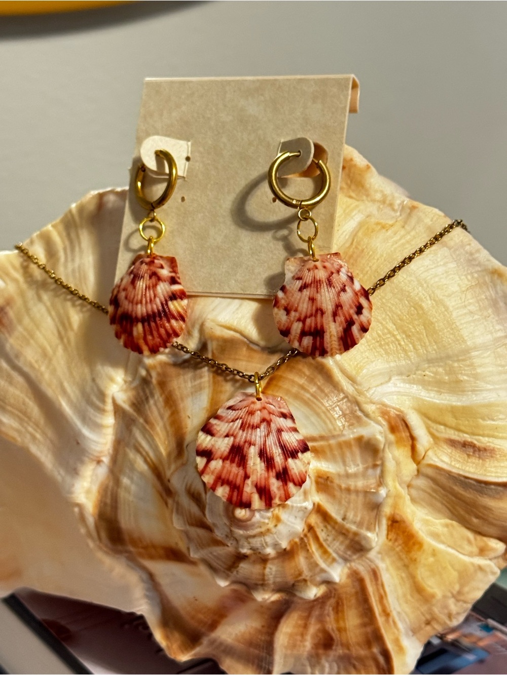 Matching Red Scallop Shell Jewelry Set in Gold Plated Stainless Steel
